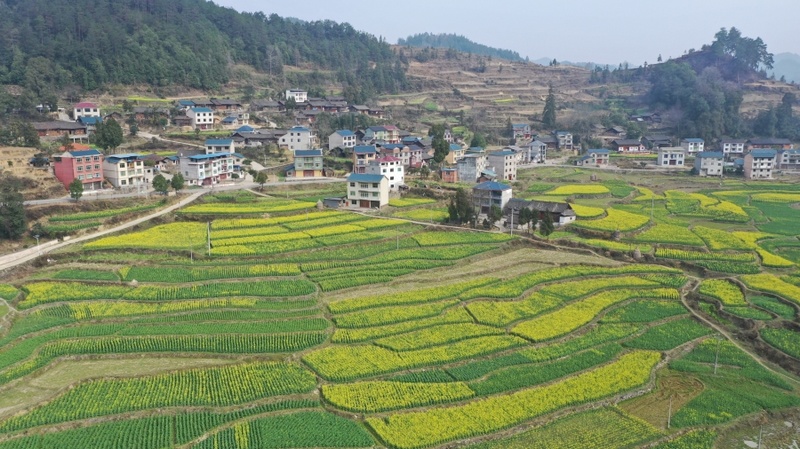 岑鞏縣平莊鎮(zhèn)路溪河村一角。唐鵬攝