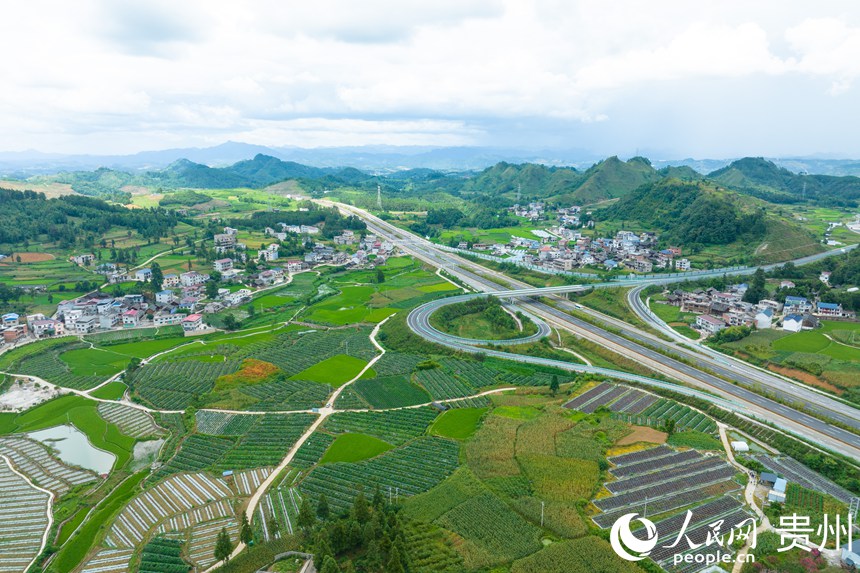 航拍蔬菜種植基地。人民網(wǎng) 陽茜攝