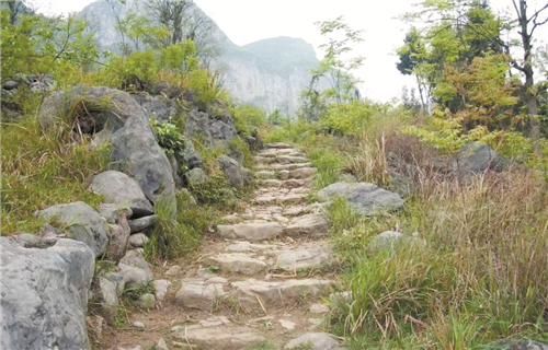 茶馬古道（金沙段）。