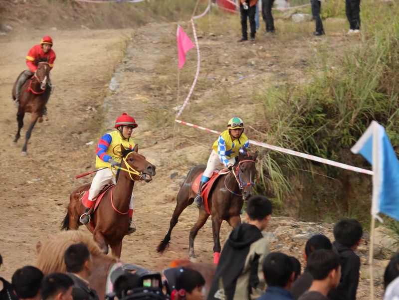 駿馬飛馳