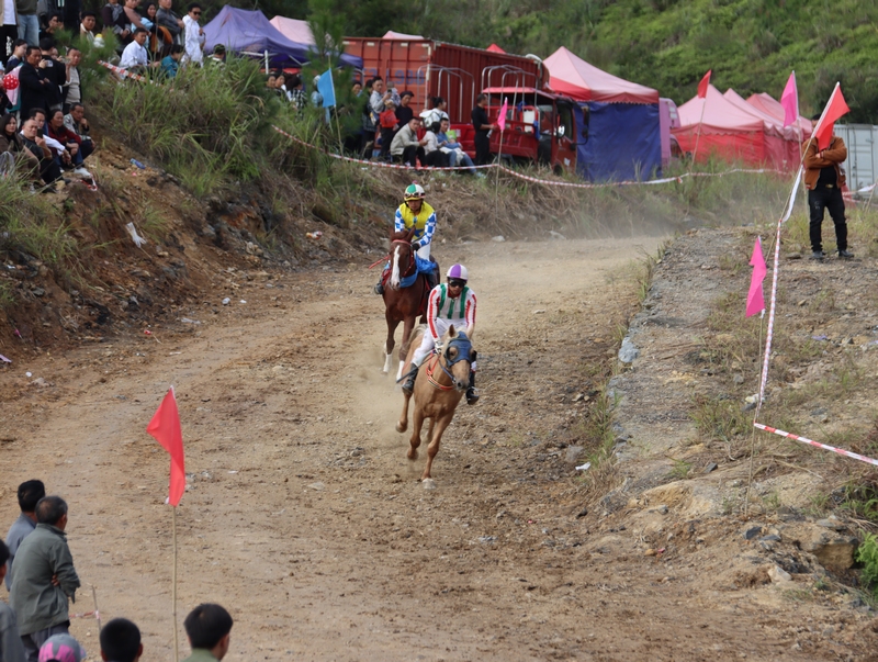 駿馬飛馳 (2)