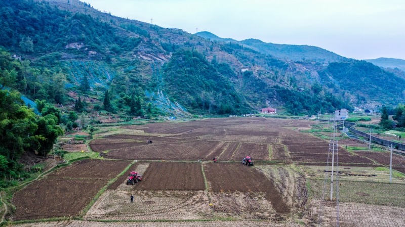 官舟鎮(zhèn)油菜全程機(jī)械化示范點(diǎn)種植基地